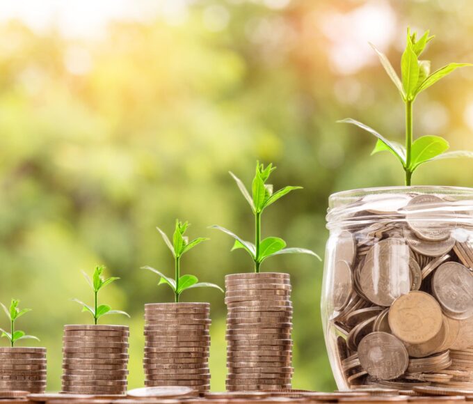 seguro rural - cooperativas de crédito