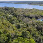 Foto: Fabio Rodrigues-Pozzebom/Agência Brasil.