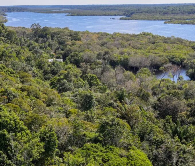 Foto: Fabio Rodrigues-Pozzebom/Agência Brasil.