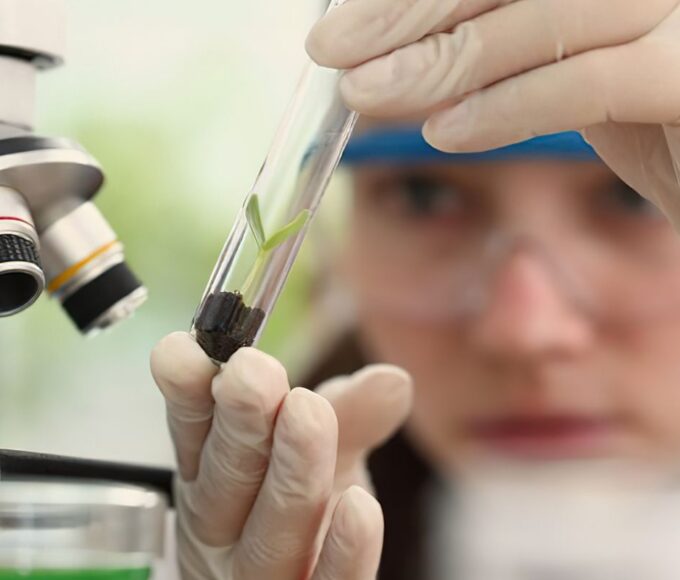 Observatório lança edital do programa Meninas Cientistas do ON