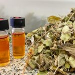 óleo essencial