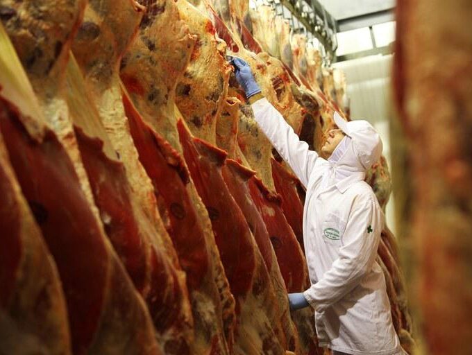abate, carne bovina, frigoríficos, carnes - abates