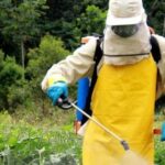 pl, agrotóxicos, agroquímicos