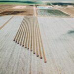 Rastreabilidade agrega valor ao algodão brasileiro. Cultura do algodão na Bahia é a segunda maior do país