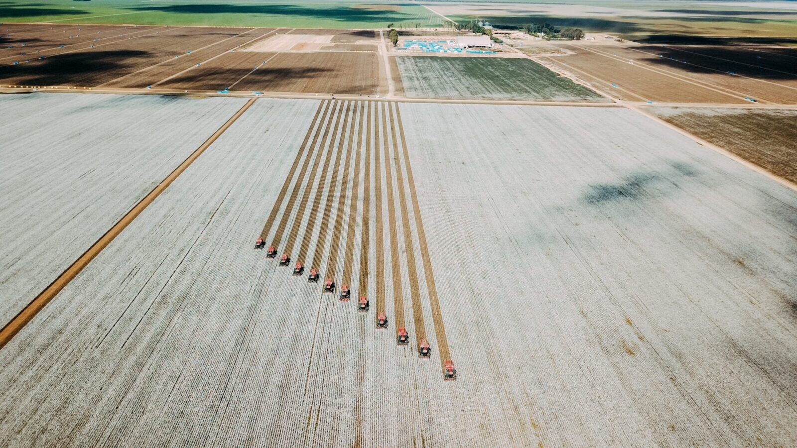 Rastreabilidade agrega valor ao algodão brasileiro. Cultura do algodão na Bahia é a segunda maior do país