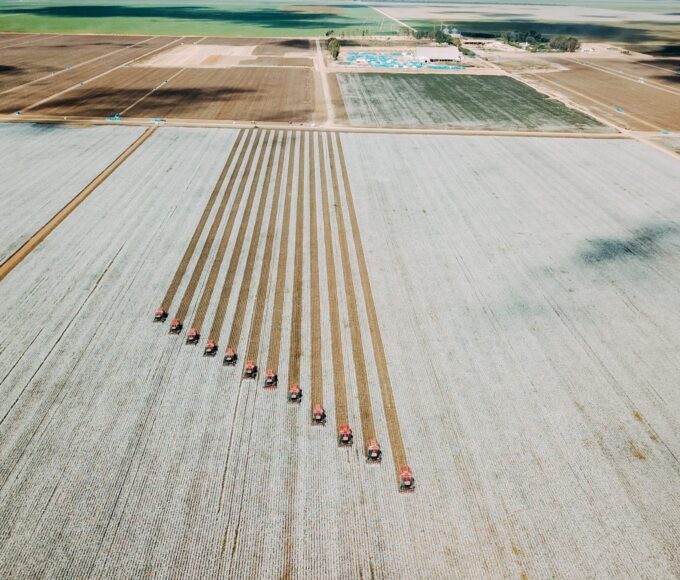 Rastreabilidade agrega valor ao algodão brasileiro. Cultura do algodão na Bahia é a segunda maior do país