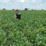 Recuperação judicial no agro dispara e bate recorde em 2025, aponta Serasa Experian