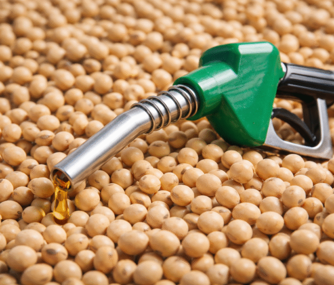 Biodiesel e soja