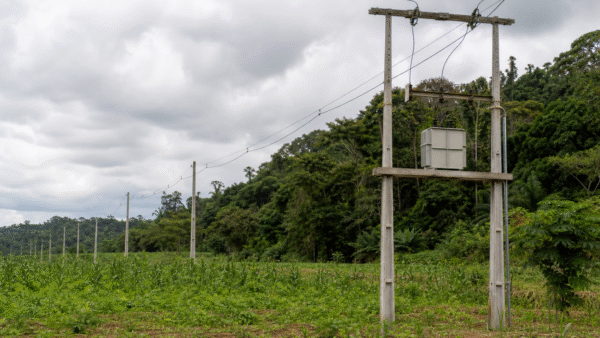 Aneel aprova reajuste médio de 6,58% para energia no Amazonas