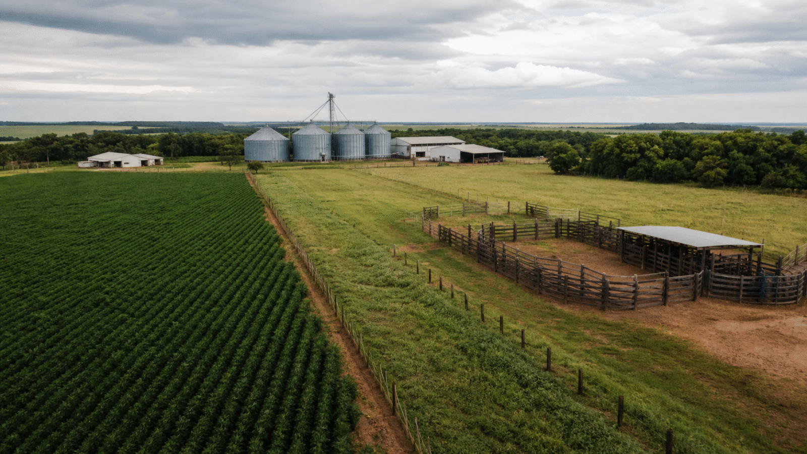 Câmara analisa urgência de projeto sobre normas que afetam produção agropecuária