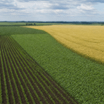 USDA informa avanço do plantio de milho e soja nos Estados Unidos
