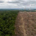 COP30 apresenta proposta para acelerar ações sobre desmatamento e combustíveis fósseis