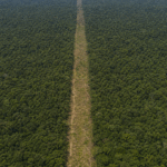 Câmara analisa urgência para projeto sobre Flona do Jamanxim e Ferrogrão