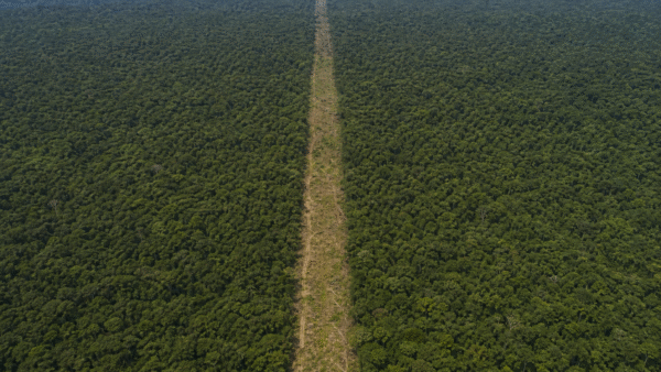 Câmara analisa urgência para projeto sobre Flona do Jamanxim e Ferrogrão
