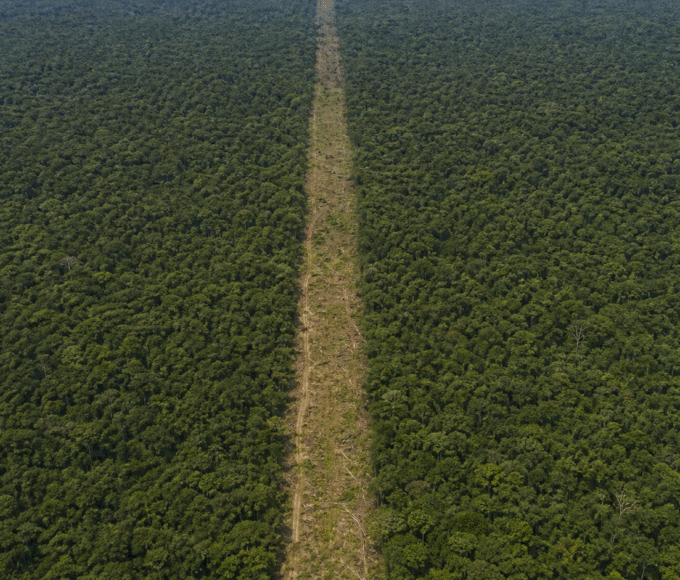 Câmara analisa urgência para projeto sobre Flona do Jamanxim e Ferrogrão