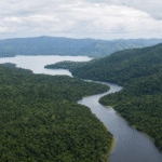 Comissão da Câmara debate papel da Mata Atlântica na adaptação climática na terça-feira