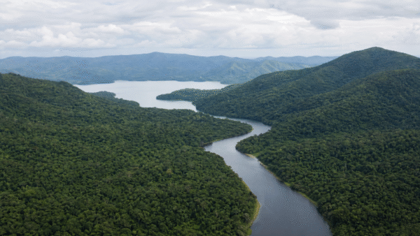 Comissão da Câmara debate papel da Mata Atlântica na adaptação climática na terça-feira