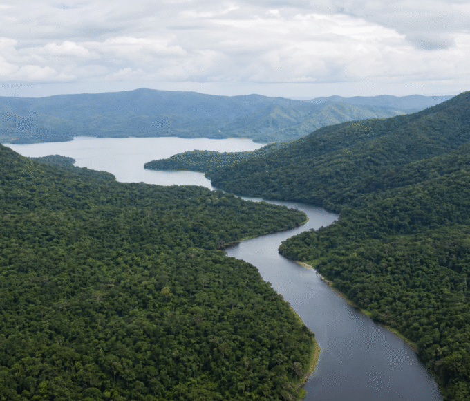 Comissão da Câmara debate papel da Mata Atlântica na adaptação climática na terça-feira
