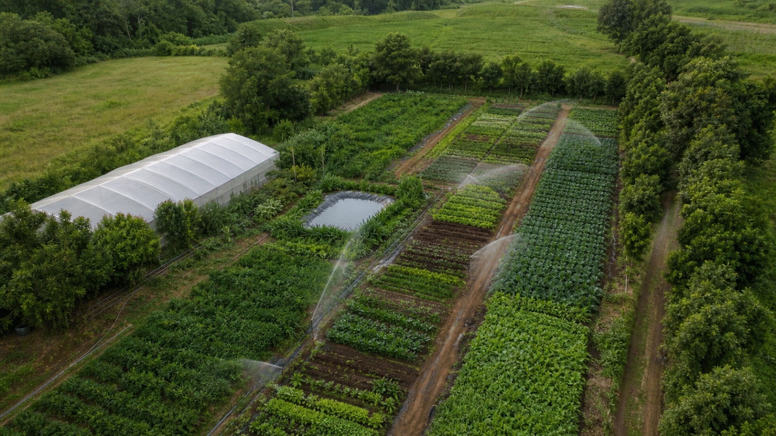 Edital Da Terra à Mesa amplia apoio a projetos de agroecologia e inovação no campo