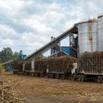 Moagem de cana cai 2,1% no Norte e Nordeste até março