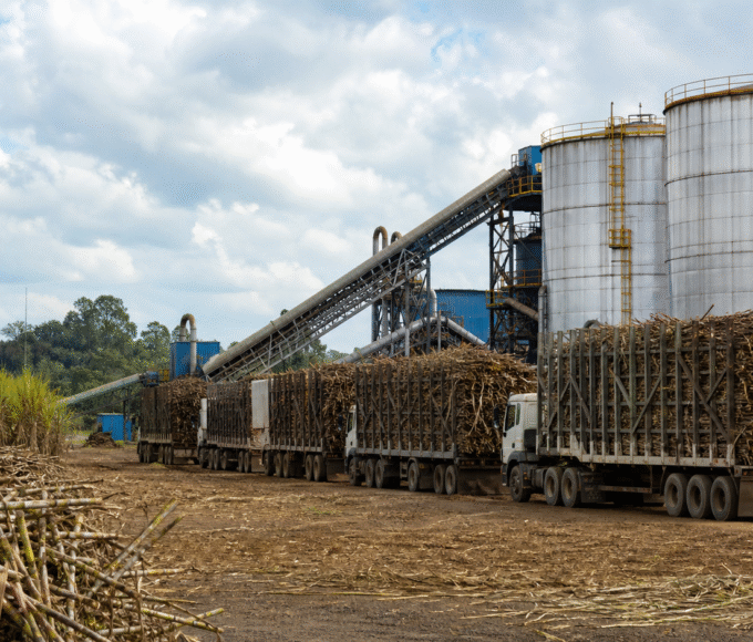Moagem de cana cai 2,1% no Norte e Nordeste até março