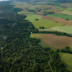 Grupo interministerial vai propor regras para créditos de carbono em áreas federais