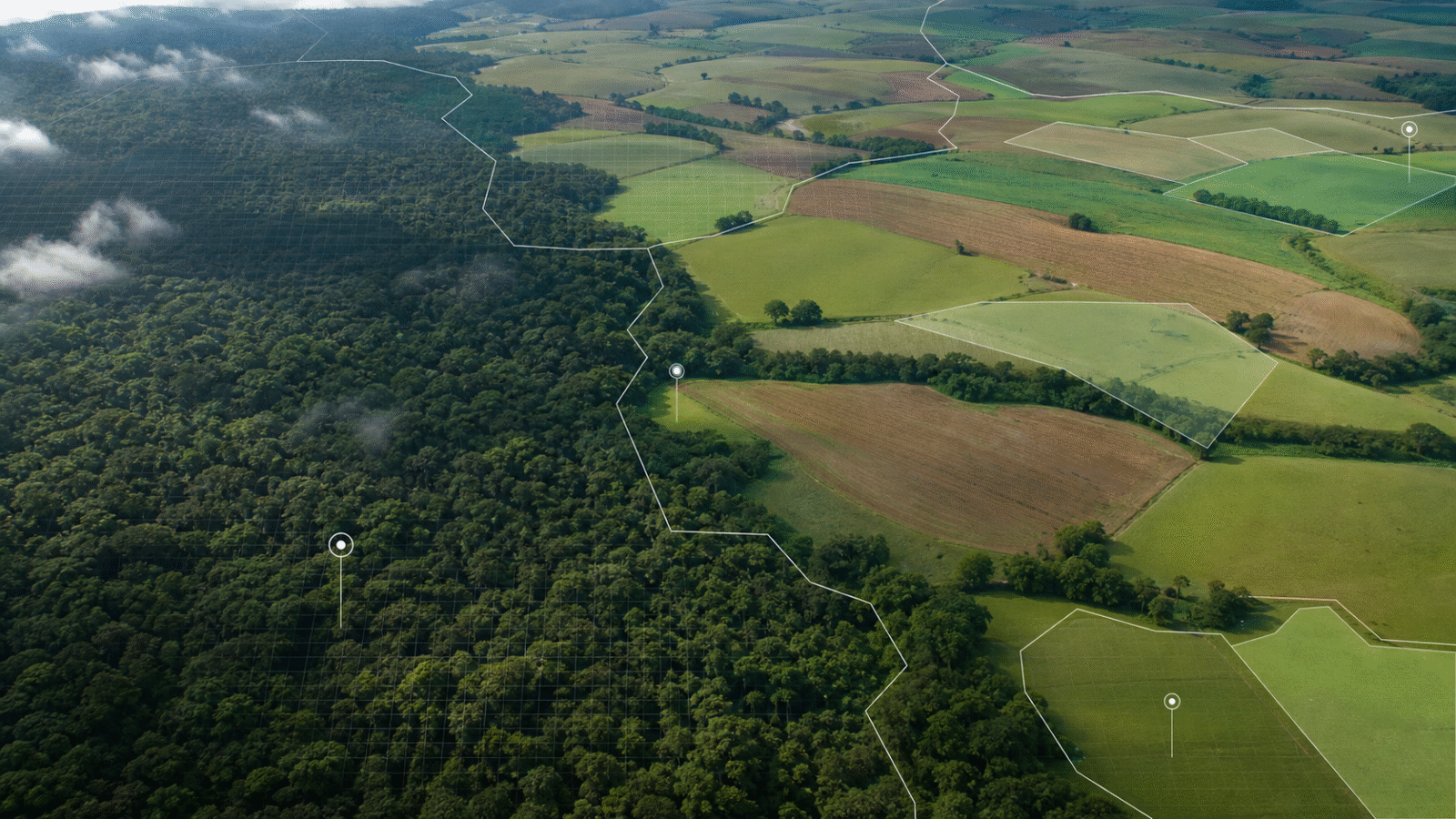Grupo interministerial vai propor regras para créditos de carbono em áreas federais