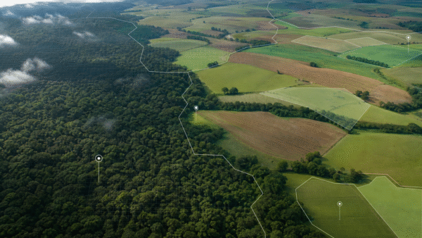 Grupo interministerial vai propor regras para créditos de carbono em áreas federais