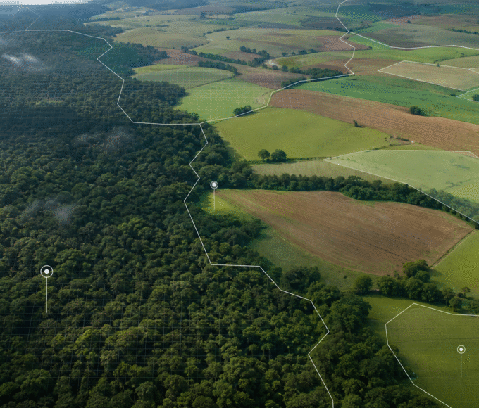 Grupo interministerial vai propor regras para créditos de carbono em áreas federais