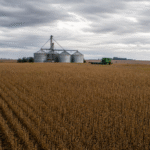 IBC-Br cai 0,67% em março e agropecuária recua 0,21%, informa BC