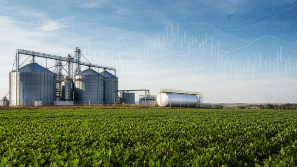 Juros futuros caem com recuo do petróleo e alívio externo