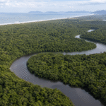 Povos tradicionais lançam aliança em defesa da Mata Atlântica