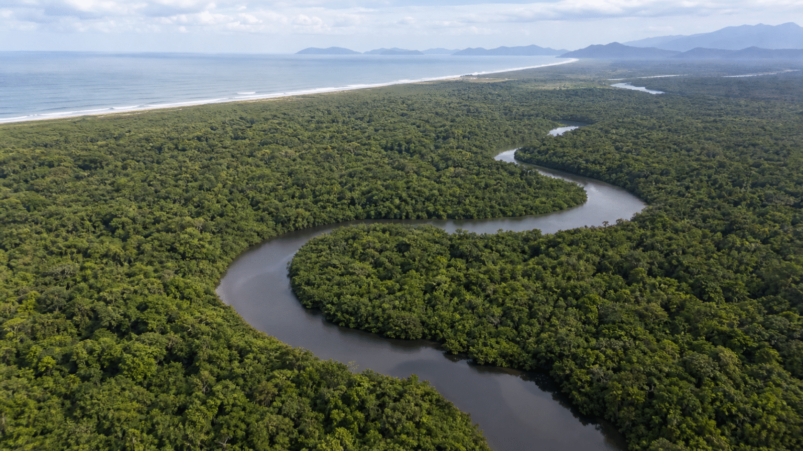 Povos tradicionais lançam aliança em defesa da Mata Atlântica