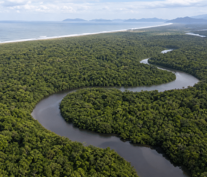 Povos tradicionais lançam aliança em defesa da Mata Atlântica