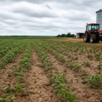 Produtores cobram avanço de projeto no Senado para renegociar dívidas rurais