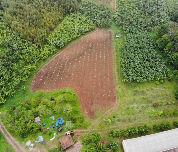 Propriedade rural na capital paulista