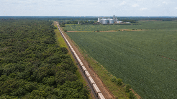 STF forma maioria para manter lei ligada ao traçado da Ferrogrão