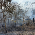 Focos de incêndio no Acre