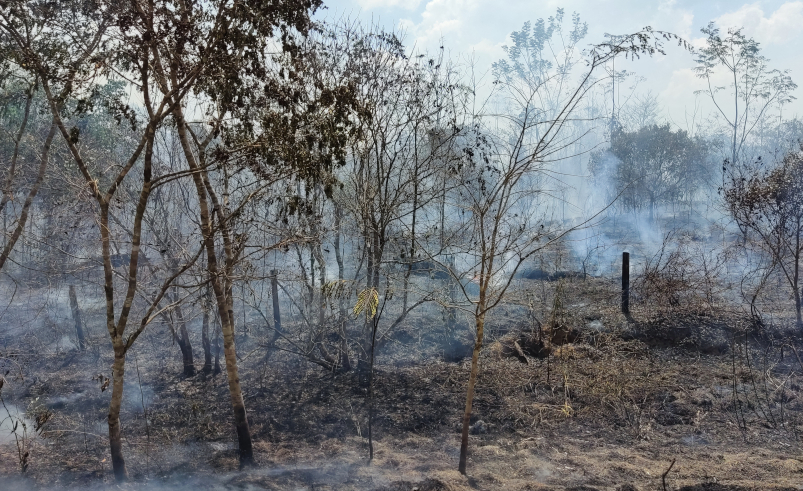 Focos de incêndio no Acre