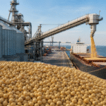 USDA informa venda de 102,1 mil toneladas de soja dos EUA da safra 2025/26
