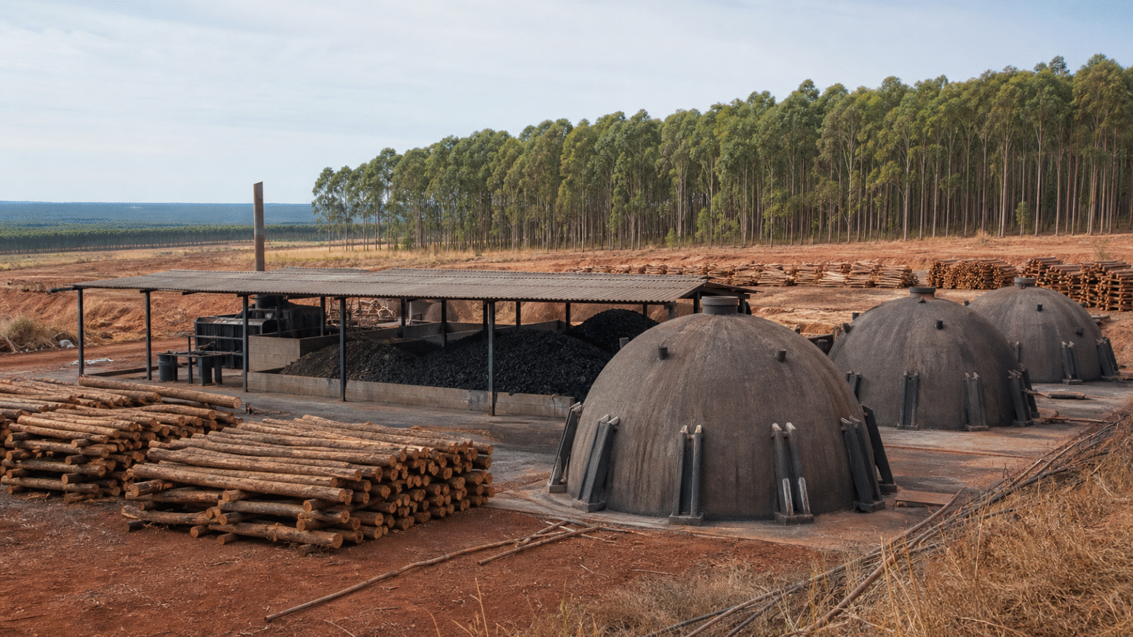 BNDES aprova R$ 43,8 milhões para planta de carvão vegetal da Ferbasa na Bahia
