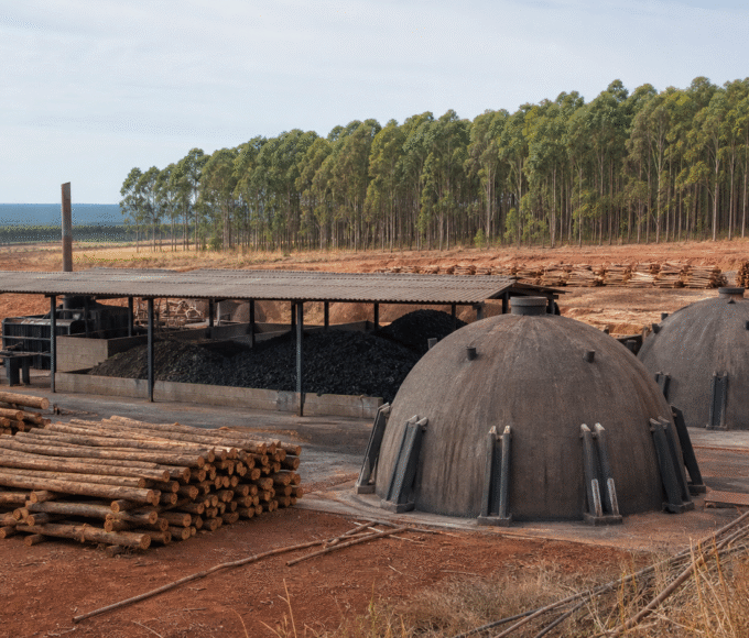 BNDES aprova R$ 43,8 milhões para planta de carvão vegetal da Ferbasa na Bahia
