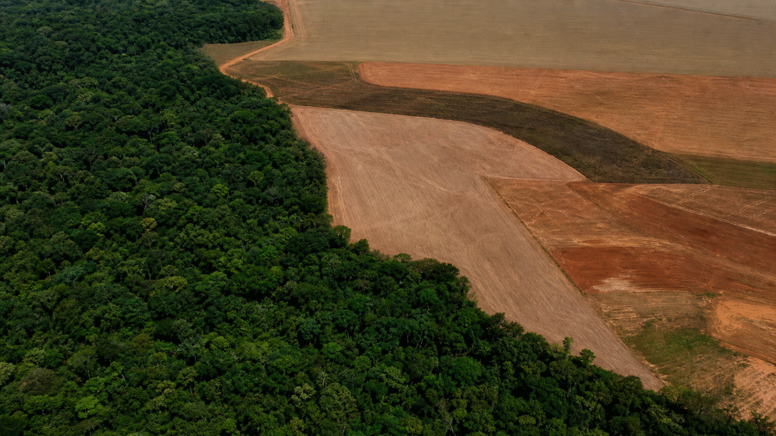 BNDES barra R$ 1,1 bilhão em crédito rural por indícios de desmatamento ilegal