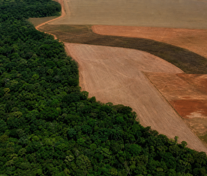 BNDES barra R$ 1,1 bilhão em crédito rural por indícios de desmatamento ilegal