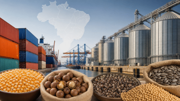 Brasil amplia acesso para produtos agropecuários em 13 parceiros comerciais