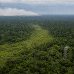 Capobianco cita reforço contra El Niño e redução do desmatamento