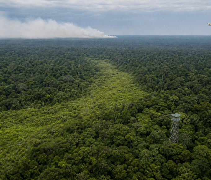Capobianco cita reforço contra El Niño e redução do desmatamento