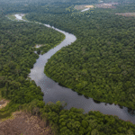 Reino Unido conclui aporte de R$ 500 milhões ao Fundo Amazônia