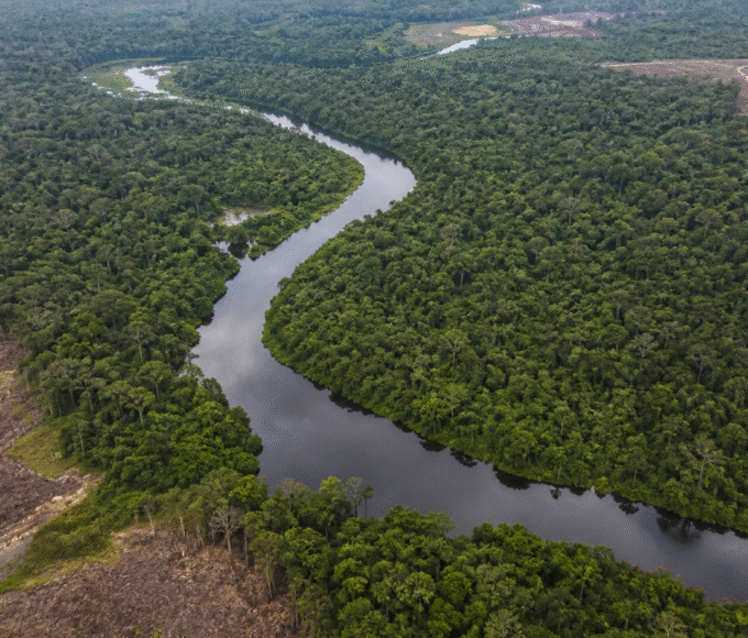 Reino Unido conclui aporte de R$ 500 milhões ao Fundo Amazônia
