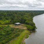 Edital Amazônia Viva seleciona 40 projetos para produção rural sustentável